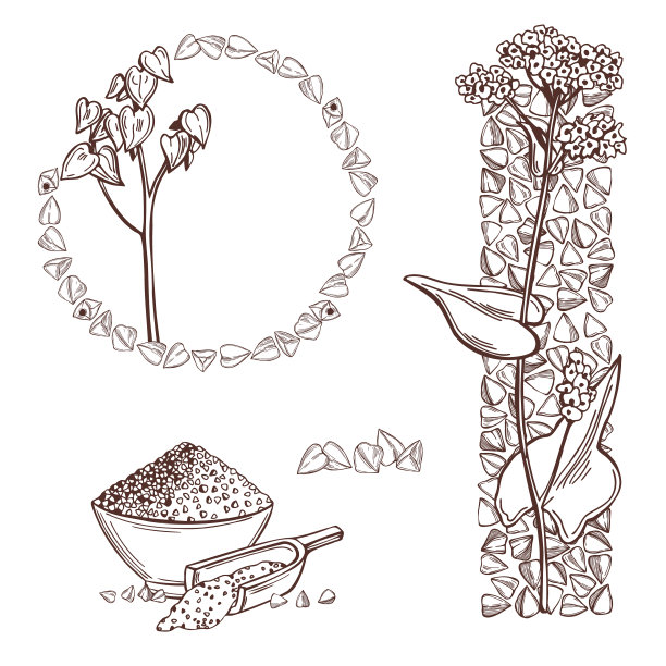 荞麦装置示意图图片下载