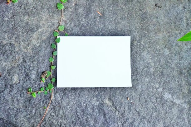 一个空白框架的模型，背景是藤蔓和小绿叶在岩石上爬行图片下载