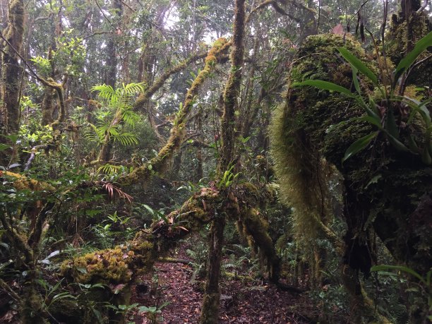 自然的神秘图片下载