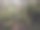 自然的神秘图片下载