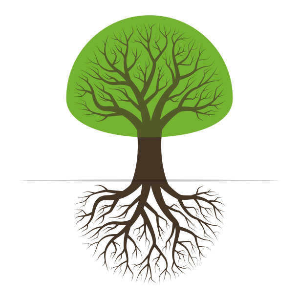 树的根。绿色植物剪影。矢量插图。图片下载