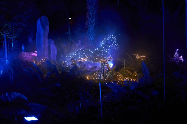 晚上照明图片下载