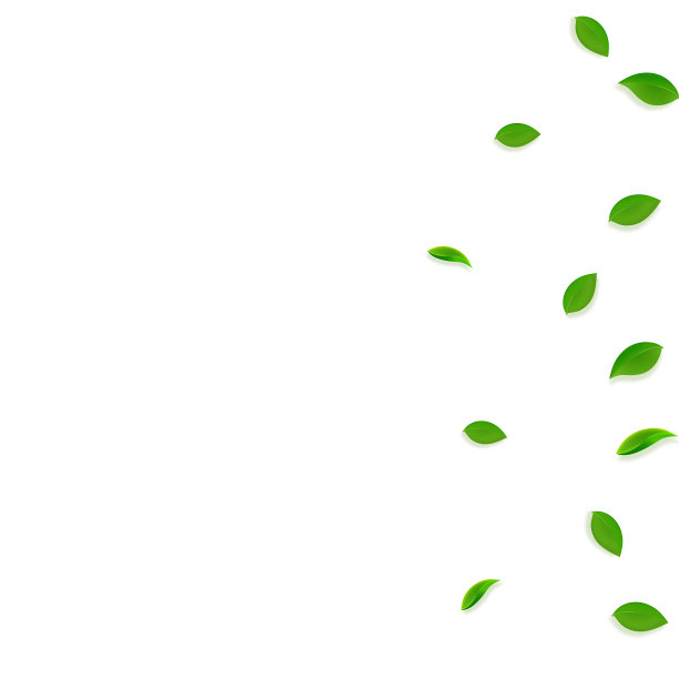 飘落的绿叶，新鲜的茶叶，随机的叶子飞图片下载