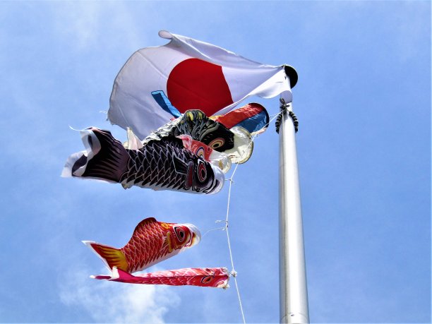 日本。4月底。Koinobori。日本传统鲤鱼形状的风帽。图片下载