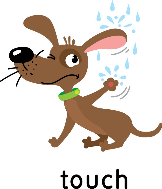 狗和雨滴五感相触图片下载
