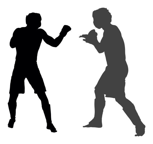 两架综合格斗战斗机孤立的剪影图片下载