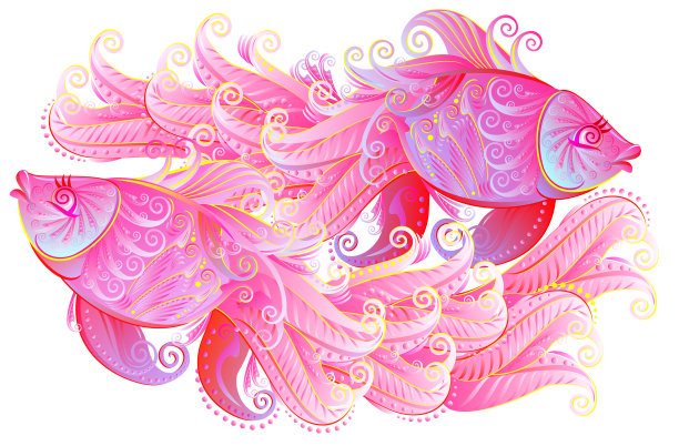 一对漂亮的粉红色鱼在玩卡通图片下载