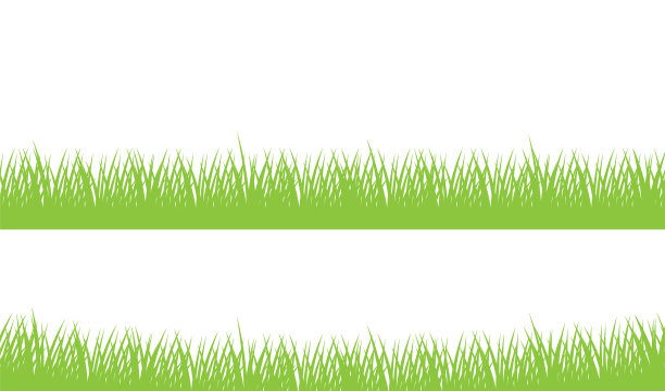 水彩绿3 d图片下载