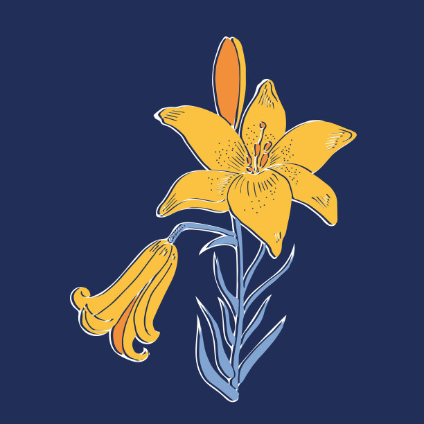 莉莉，深色背景上的彩色图像。一个装饰元素为您的设计。孤立的对象。EPS10。图片下载