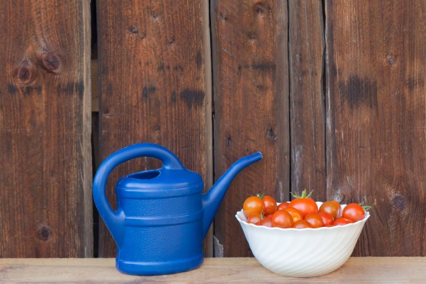 把红色的西红柿放在白色的碗里，然后放在蓝色的浇水罐里图片下载
