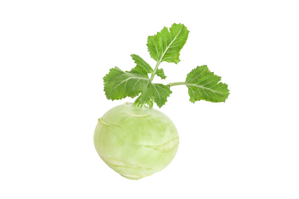 孤立的绿叶大头菜图片下载