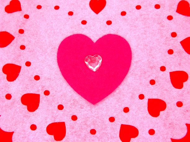 玫瑰花灌木花的春天背景与模糊的软散景图片下载