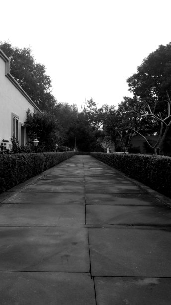 一条小路的黑白肖像图片下载