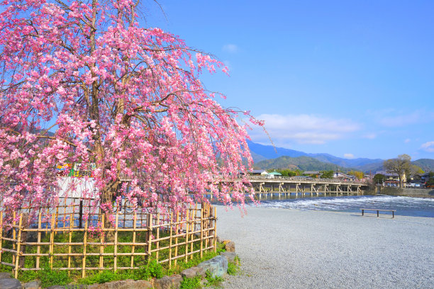 日本京都府岚山市渡月桥图片下载