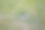 草原上一个小兔子洞的特写图片下载