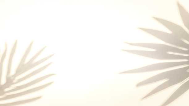 叶影夏日背景。白色墙壁上抽象的热带阳光纹理上的植物叶子阴影，用于覆盖在产品展示、背景和模型上，阳光季节性的概念。图片下载