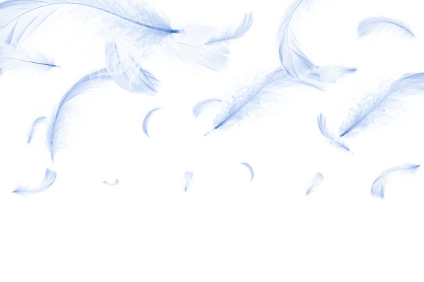 羽毛孤立。图案摄影中抽象的鸟类羽毛纹理特写落在白色的背景上。敏感性的概念对自然的反应。图片下载