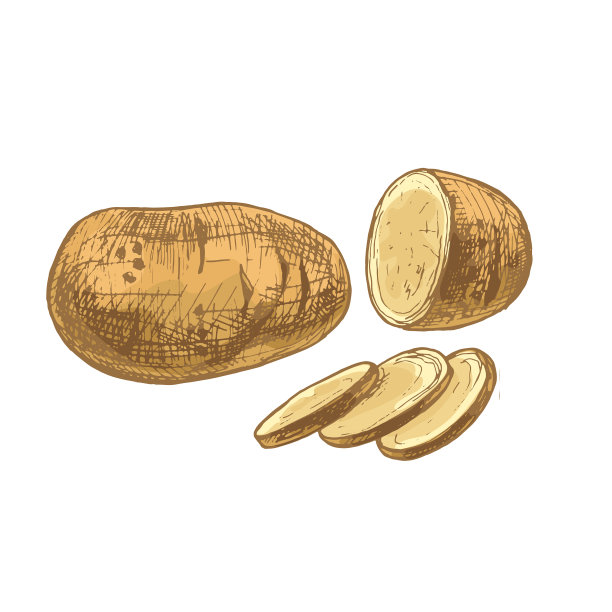 整片土豆，陈年孵化图片下载