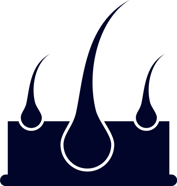 毛囊标志设计器官标志模板图片下载