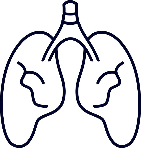 肺标志设计模板器官标志设计图片下载