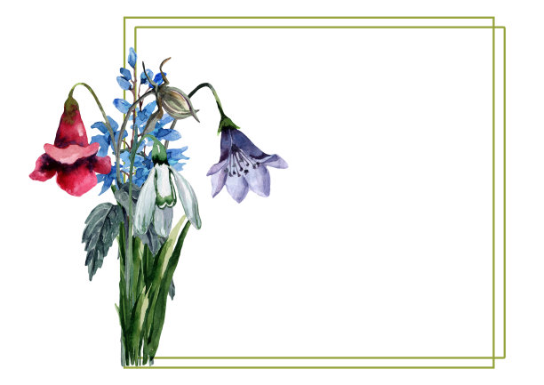 长方形的框架与春天的花和雪花莲，带芽的钟，绿色的叶子在一个花束在白色的背景。手画水彩。图片下载