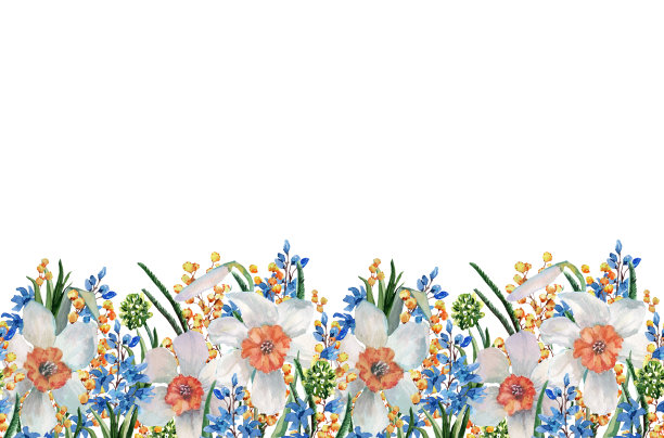 无缝模式与含油合欢枝，水仙花和蓝色风信子与绿色的叶子在茎。手绘水彩在一个白色的背景构成。图片下载