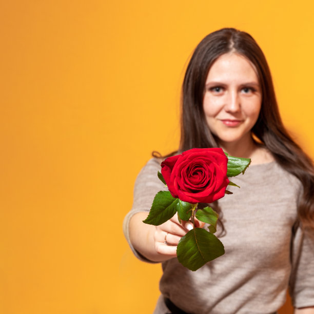 玫瑰是焦点，由一个深色头发的女孩在一个模糊的轮廓。黄色背景和文字空间。图片下载