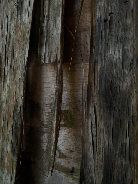 照片干燥和粗糙的木墙纹理图片下载