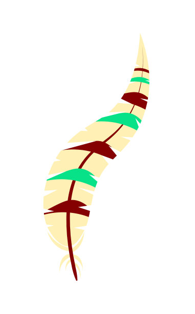 古老的部落羽毛孤立在白色图片下载