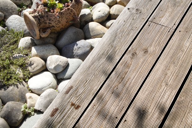 岩石和植物旁边的木板图片下载