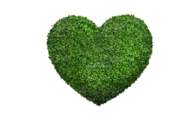 心形绿叶孤立白色背景。图片下载