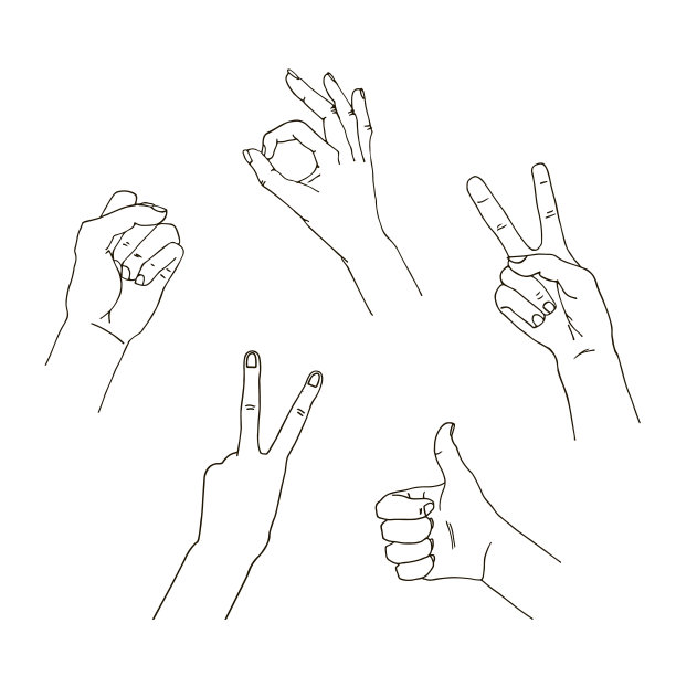 手在不同的解释。矢量插图。在白色背景上隔离图片下载
