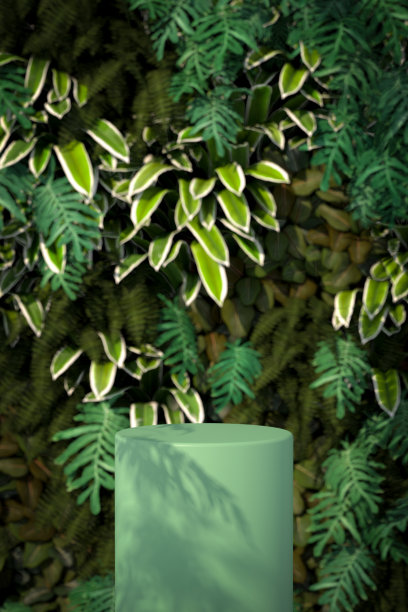 销售平台以自然的树木为背景。3 d场景。图片下载