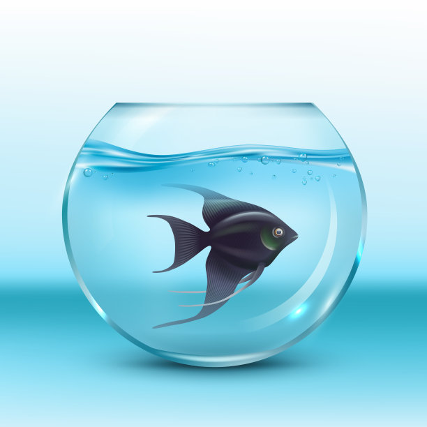 鱼在水族馆。水下动物游泳装饰水族馆体面的矢量逼真的插图图片下载