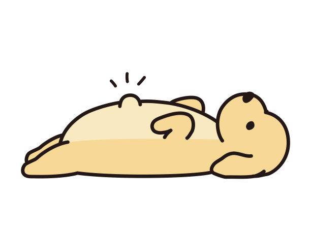 脐疝。小狗。狗在他的背上。图片下载