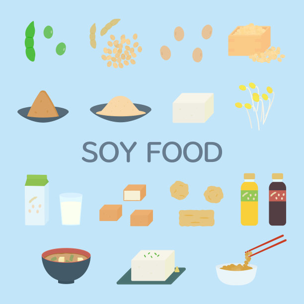 简单可爱的豆制品插图设置平面设计图片下载