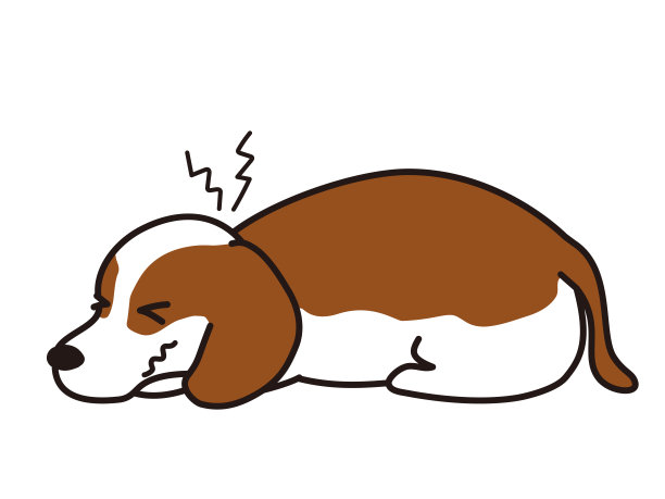 颈椎间盘疝。颈椎疼痛。腊肠犬。图片下载