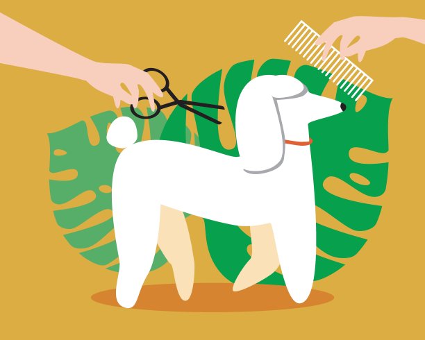 狗美容，卷毛孤立，平面矢量股票插图时尚沙龙和可爱的宠物美容图片下载