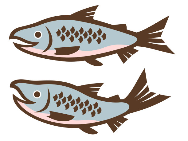 两只鲑鱼的插图图片下载