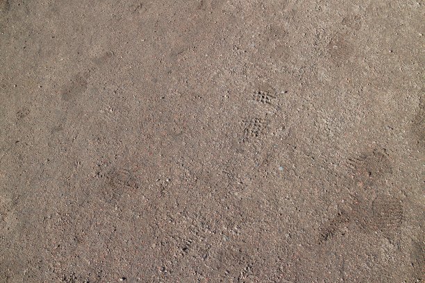 清晨湿沙上的脚印图片下载