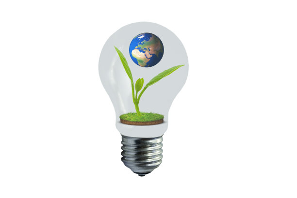 白底灯里含着花蕾，草坪上有泥土。图片下载