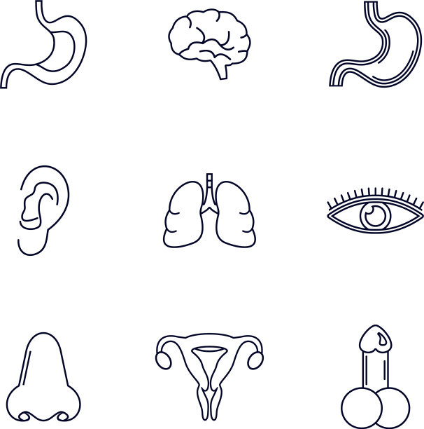 设置人体器官标识设计器官模板图片下载