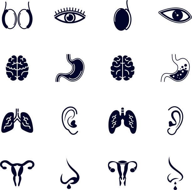 设置人体器官标识设计器官模板图片下载