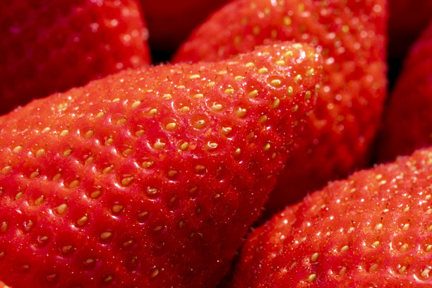 新鲜有机草莓作为食物背景。图片下载