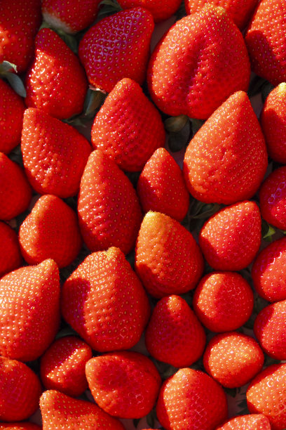 新鲜有机草莓作为食物背景。图片下载