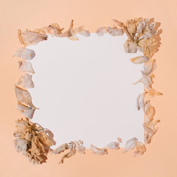 极简复古的组成与花和白色的纸卡在一个柔和的桃色背景。自然和花卉概念在一个创造性的现代平面布局。图片下载