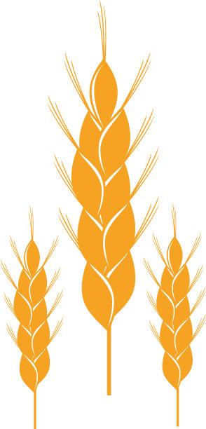 农业小麦设计模板图片下载