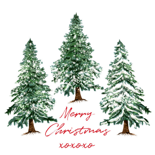 漂亮的圣诞树贺卡手绘图片下载