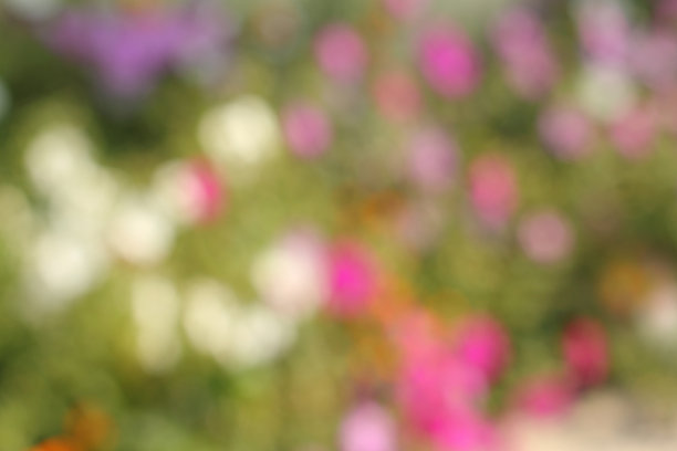 抽象的装饰背景图片下载