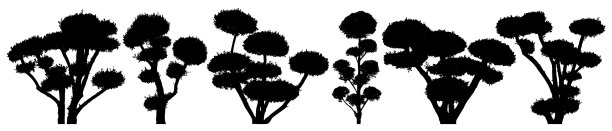 花园盆景五城装饰乔木灌木图片下载